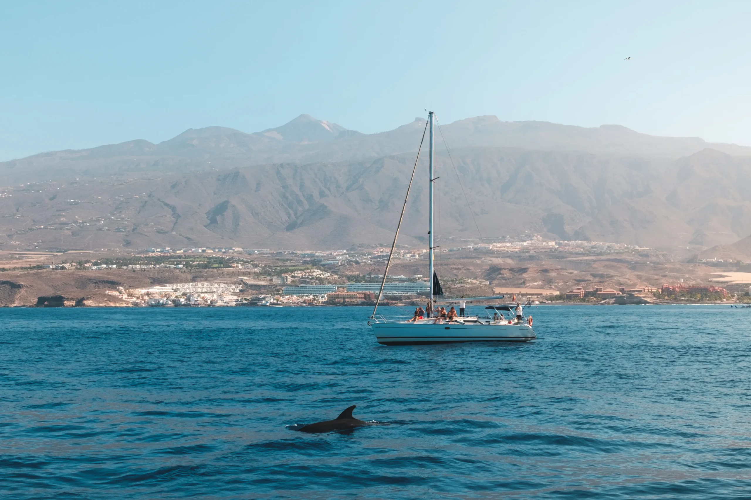 sailing boat on ocean in Tenerife